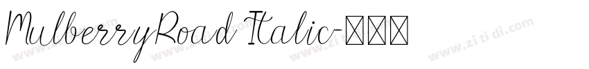 MulberryRoad Italic字体转换
